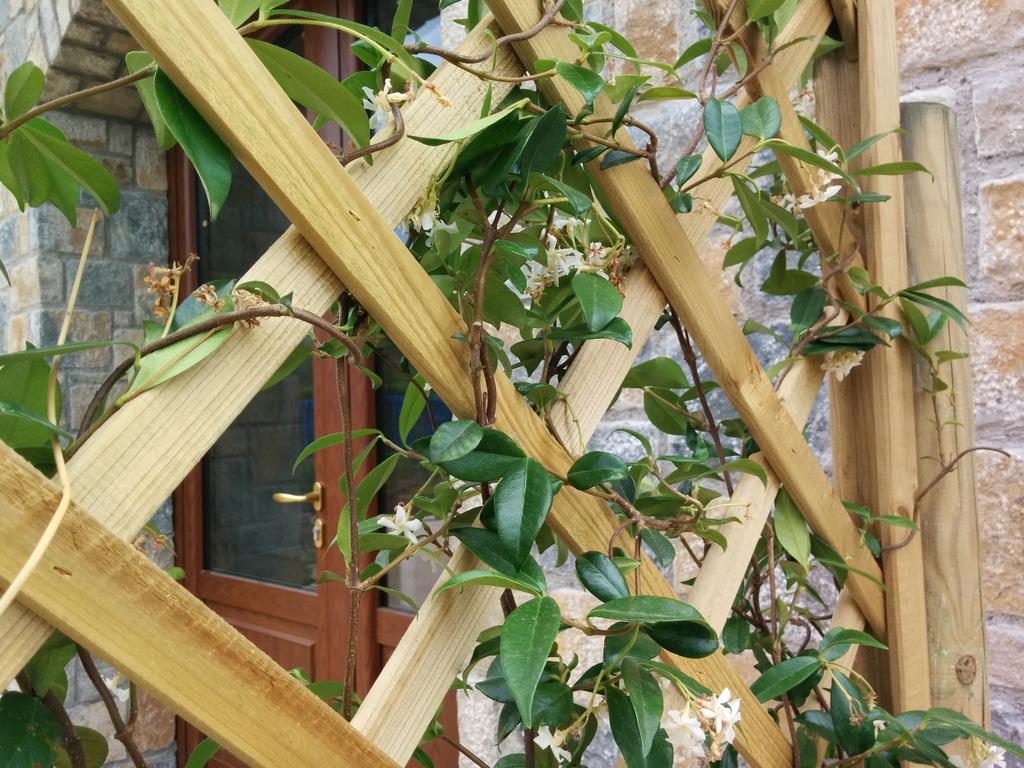 Residence Sophora Palinuro Habitación foto